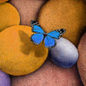 Meet your Posher, Roxy